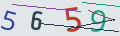 verifycode